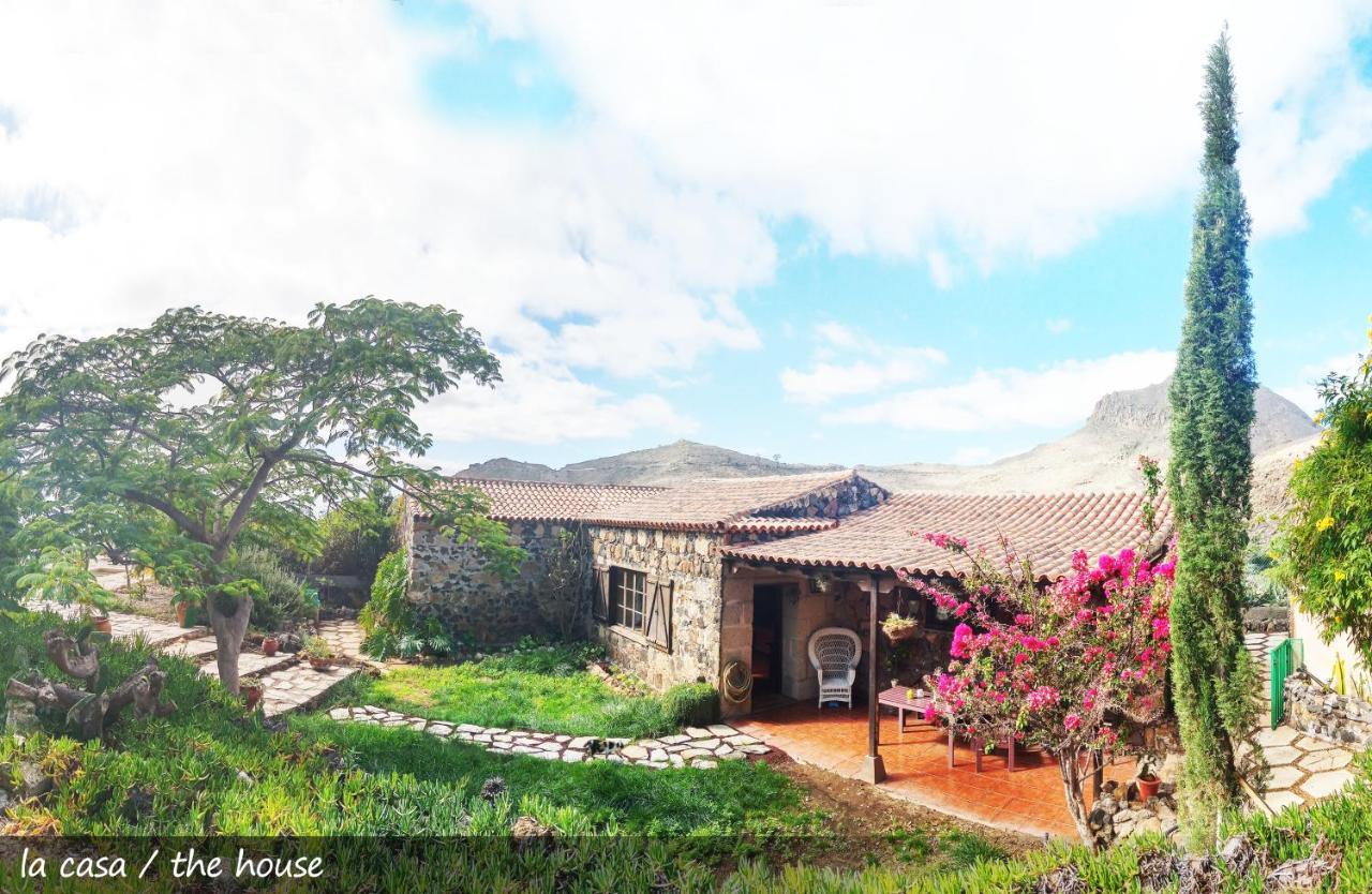 Live Finca San Miguel San Miguel de Abona Exterior foto